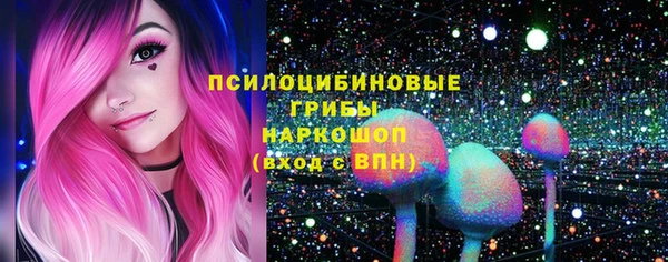 spice Чегем