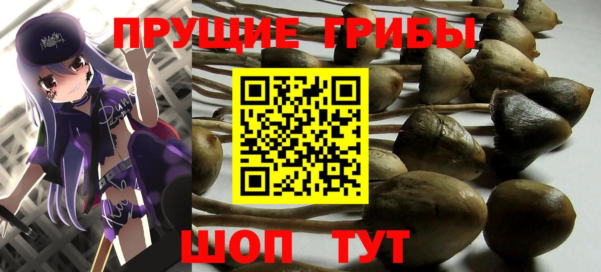 Галлюциногенные грибы прущие грибы  Вход с VPN  Галлюциногенные грибы мицелий  как найти   Егорьевск 