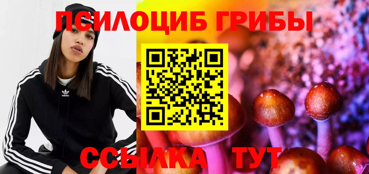 Галлюциногенные грибы GOLDEN TEACHER Егорьевск